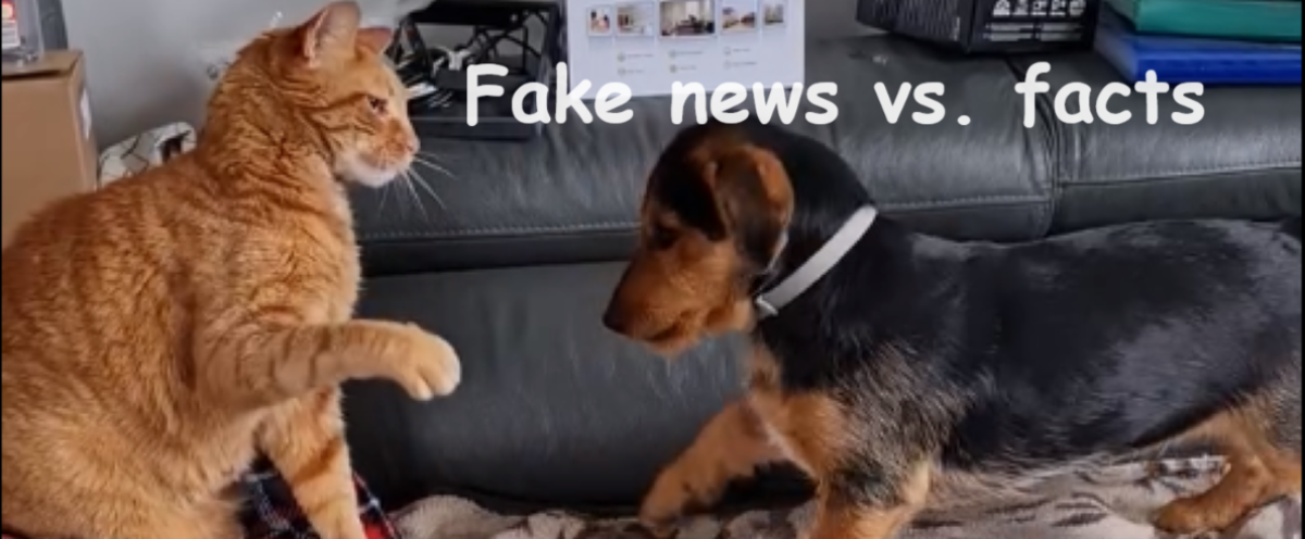 Fake news & facts
